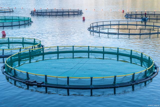 水產養殖專業考研方向 水產品養殖的深度探索與發展前景